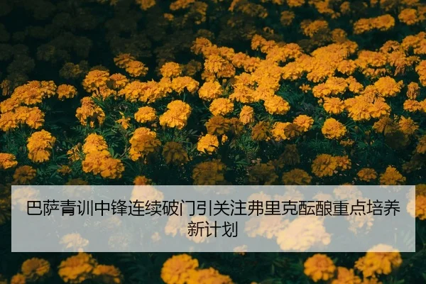 巴萨青训中锋连续破门引关注弗里克酝酿重点培养新计划